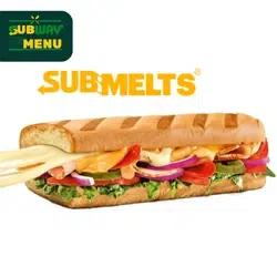 NEU Spicy Salami & Chicken (Paninis)